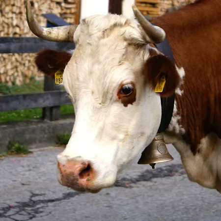 Bachmayerhof 3* Uderns